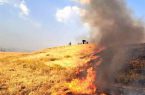 ۵ حریق مزارع کوهدشت در یک روز/ آتش‌سوزی در اراضی لرستان ادامه دارد