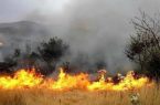 آتش‌سوزی در «سفیدکوه» خرم‌آباد با کمترین زمان مهار شد