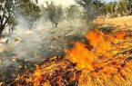 ۲۰۰۰ کیلومتر آتش‌بر در مناطق بحرانی لرستان ایجاد می‌شود